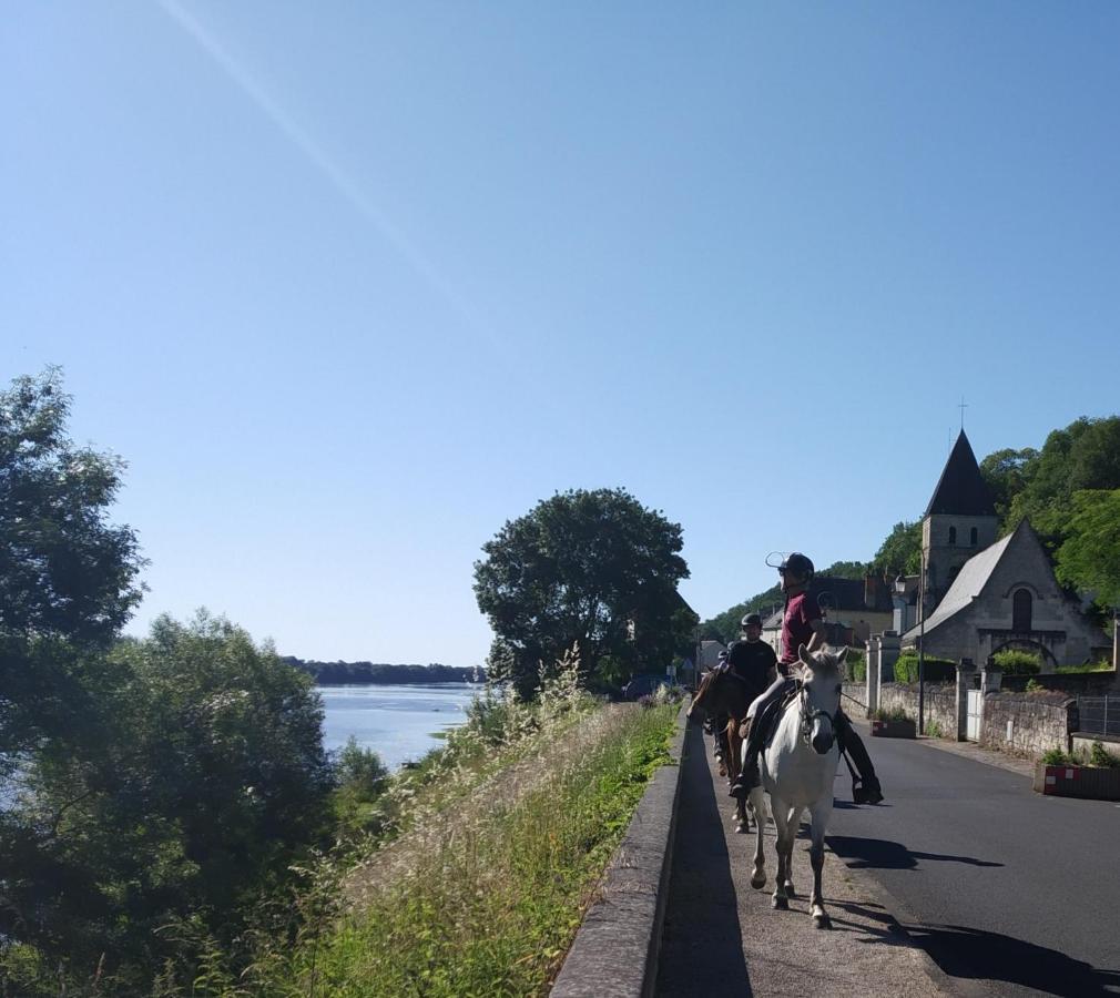 Naturellement Loire ! Villa Saint-Martin-de-la-Place Eksteriør billede